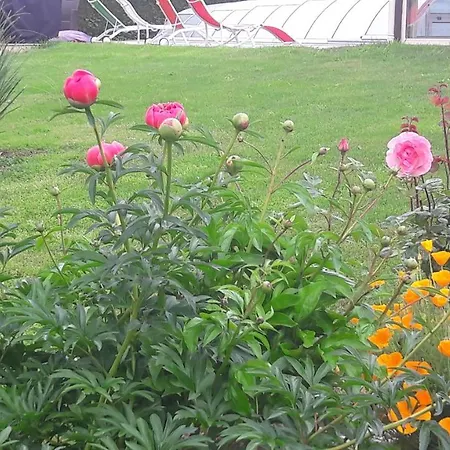 Le Patsa De Pensionat Vouillé