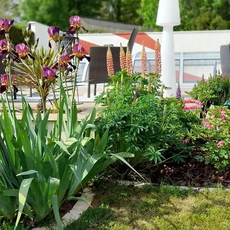 Le Patsa De Pensionat 3*